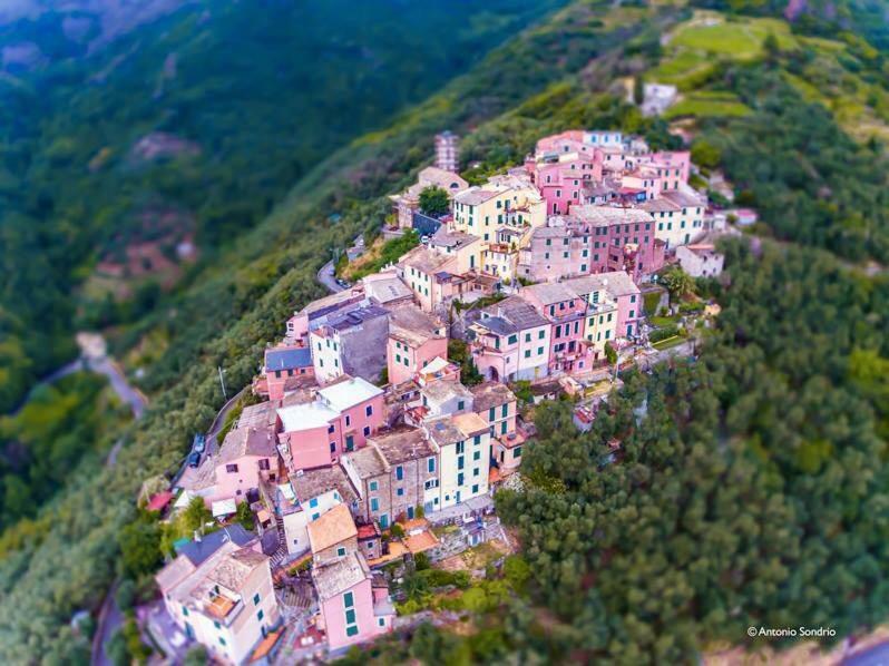 Apartament Cinqueterre - Terrace And Beautiful View Levanto Zewnętrze zdjęcie
